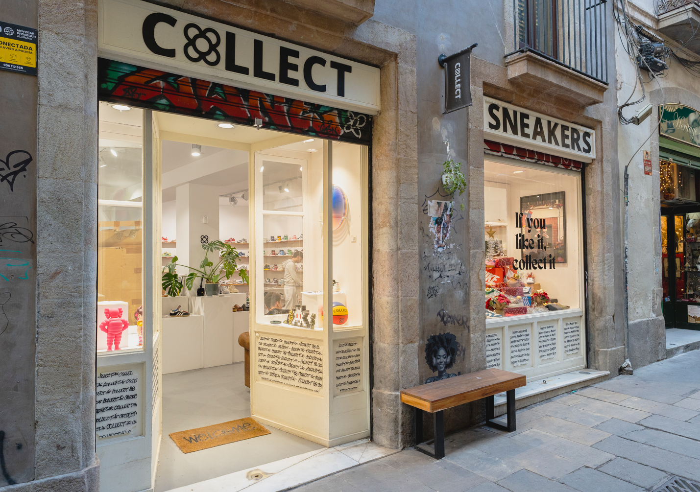 Flower of Barcelona: A Part of Collect's Identity