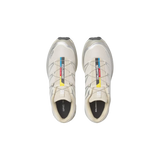 Salomon XT-6 - Rainy Day / Paloma / Ftw Silver