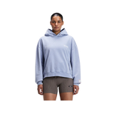 Bandit Unisex Chroma Wash Cropped Hoodie in Steel Horizon