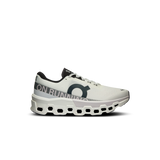 On Running Cloudmonster M White | Frost